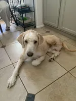 processed/b1b842a5-6cfa-46c9-82f6-0399c801cdad/listing/a7d1e818-321d-4659-8d1a-974beb37cd25/df42d17e-350c-49e3-b4ff-48bad0d23c1b