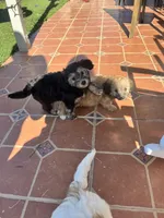 processed/b1b842a5-6cfa-46c9-82f6-0399c801cdad/listing/da56a8d4-a876-4f1b-8d11-e7eb41ea3b02/1e815800-1c26-4a1e-9b76-e71b0c46ed3a