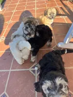 processed/b1b842a5-6cfa-46c9-82f6-0399c801cdad/listing/da56a8d4-a876-4f1b-8d11-e7eb41ea3b02/ccdd2f11-8d3d-45a0-923c-9a5a3c6c3395