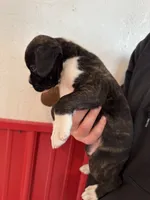 processed/b1bf7adb-ae9a-4a39-8348-9e714ab420c5/listing/a75f3b74-91ed-440c-ab6d-72ba962e6288/7e3d7ed4-5f6f-4592-8510-c074fa665e77