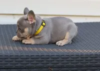 processed/b1c45721-6399-43f5-8614-5a09087da238/listing/0c12f966-eeef-4fcd-ba12-48301fa21207/3ff25b44-b557-475e-839f-faa62020e591