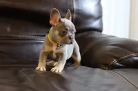 processed/b1c45721-6399-43f5-8614-5a09087da238/listing/0c12f966-eeef-4fcd-ba12-48301fa21207/84eb9b64-6f43-49b8-879d-de255670b3a5