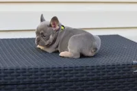 processed/b1c45721-6399-43f5-8614-5a09087da238/listing/0c12f966-eeef-4fcd-ba12-48301fa21207/f6d1b3bb-d357-495d-9cc9-a222352318d7