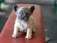 processed/b1c45721-6399-43f5-8614-5a09087da238/listing/5d4479a2-9f18-42b8-83d6-ddc6fad683f5/b408b571-fe6a-4cf7-bc5b-ef6a5e97c910