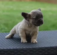 processed/b1c45721-6399-43f5-8614-5a09087da238/listing/5d4479a2-9f18-42b8-83d6-ddc6fad683f5/ebd68825-ca8f-4842-99b6-885fa1b3276f