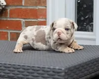 processed/b1c45721-6399-43f5-8614-5a09087da238/listing/6c674ab7-e26b-4969-a065-3b1164a1b386/15982919-7037-49db-9ff6-df80acfd3767