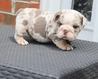 processed/b1c45721-6399-43f5-8614-5a09087da238/listing/6c674ab7-e26b-4969-a065-3b1164a1b386/b48cd0b4-7549-4f10-8ec1-d02d1bde4ae5