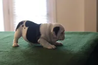 processed/b1c45721-6399-43f5-8614-5a09087da238/listing/7483ba5f-3e61-404d-9d42-f406e759b07f/76efccf9-5eb1-406f-b863-4cb69bb210c0