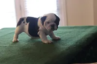 processed/b1c45721-6399-43f5-8614-5a09087da238/listing/7483ba5f-3e61-404d-9d42-f406e759b07f/98e2eb06-af20-490d-9994-2348da4a6ee1