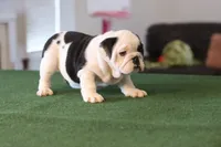 processed/b1c45721-6399-43f5-8614-5a09087da238/listing/7483ba5f-3e61-404d-9d42-f406e759b07f/b7681a20-dc50-405b-a400-548b55287c49