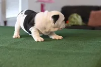 processed/b1c45721-6399-43f5-8614-5a09087da238/listing/7483ba5f-3e61-404d-9d42-f406e759b07f/efaaa539-b9a9-4225-aa64-ca0128d099d0