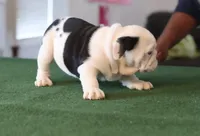 processed/b1c45721-6399-43f5-8614-5a09087da238/listing/7483ba5f-3e61-404d-9d42-f406e759b07f/f7f162eb-28d0-4101-a47c-c1de4e79d604