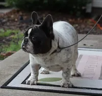 processed/b1c45721-6399-43f5-8614-5a09087da238/listing/c67ba157-bff6-496e-8fa2-2a526f28358a/329b3e92-93e1-4c04-be07-a8b9282cde0a