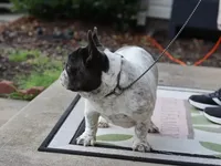 processed/b1c45721-6399-43f5-8614-5a09087da238/listing/c67ba157-bff6-496e-8fa2-2a526f28358a/5f36fd58-c78c-48e1-b75e-1b345dfd1bef