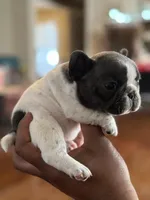 processed/b1c45721-6399-43f5-8614-5a09087da238/listing/c67ba157-bff6-496e-8fa2-2a526f28358a/61cf63e9-0227-4c86-b64a-38d926867818