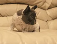 processed/b1c45721-6399-43f5-8614-5a09087da238/listing/c67ba157-bff6-496e-8fa2-2a526f28358a/8aefd7ff-154c-47fc-b7e1-385104d23900