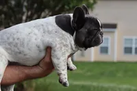 processed/b1c45721-6399-43f5-8614-5a09087da238/listing/c67ba157-bff6-496e-8fa2-2a526f28358a/b5262651-5820-4805-abf0-9953a6fc6a16