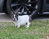 processed/b1c45721-6399-43f5-8614-5a09087da238/listing/c67ba157-bff6-496e-8fa2-2a526f28358a/e2c64226-a082-4263-a969-ede541c4b1c2