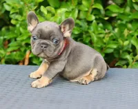 processed/b1c45721-6399-43f5-8614-5a09087da238/listing/ca7e297a-724d-4a67-b0e3-c61eb4ea878f/10dbf996-7e74-4fa3-a007-cd873b5bbc4f