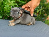 processed/b1c45721-6399-43f5-8614-5a09087da238/listing/ca7e297a-724d-4a67-b0e3-c61eb4ea878f/cbbcc5cb-98c0-4f23-9a60-54d67c7b0cb2