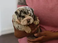 processed/b1c45721-6399-43f5-8614-5a09087da238/listing/d88a01e1-80cd-4fed-8c91-0e5bcc38c42b/61be6148-b428-4e10-81ef-78b716d51a13