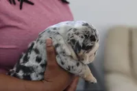 processed/b1c45721-6399-43f5-8614-5a09087da238/listing/d88a01e1-80cd-4fed-8c91-0e5bcc38c42b/7a43c6b4-7504-4006-873c-583e423081f0