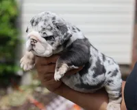 processed/b1c45721-6399-43f5-8614-5a09087da238/listing/d88a01e1-80cd-4fed-8c91-0e5bcc38c42b/fd08053f-c2b9-4e92-ba09-a1c589e5b35e