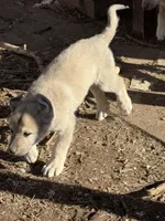 processed/b1c9072f-f992-46ec-843c-138ba6c07d58/listing/1f65edf7-6837-475f-9714-29303901019b/41569dcc-453e-4b4c-a448-38812ef41804