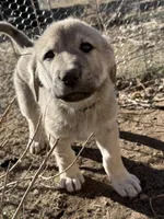 processed/b1c9072f-f992-46ec-843c-138ba6c07d58/listing/1f65edf7-6837-475f-9714-29303901019b/44a79e55-83dc-469d-a5bf-6da629d61278