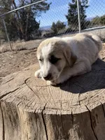 processed/b1c9072f-f992-46ec-843c-138ba6c07d58/listing/2797508d-9edf-4fdb-94d0-972a133043c8/62106a66-28fe-45c8-8ab4-f04c67a4f02a