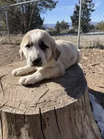 processed/b1c9072f-f992-46ec-843c-138ba6c07d58/listing/2797508d-9edf-4fdb-94d0-972a133043c8/fc613c97-ae95-4ad7-b54f-a421faedec96