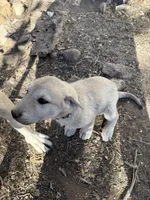 processed/b1c9072f-f992-46ec-843c-138ba6c07d58/listing/754df939-4ce8-4d92-b9b8-922176495edc/5f3cdcad-a137-4b3e-80b0-83ab3f13d929