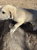 processed/b1c9072f-f992-46ec-843c-138ba6c07d58/listing/754df939-4ce8-4d92-b9b8-922176495edc/60964aa4-55b0-4d47-b5ea-189f234c11c4