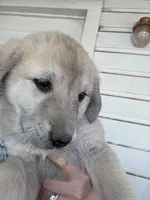 processed/b1c9072f-f992-46ec-843c-138ba6c07d58/listing/754df939-4ce8-4d92-b9b8-922176495edc/7469b00d-0680-4b08-976c-f2dd7816bc41