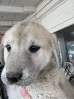 processed/b1c9072f-f992-46ec-843c-138ba6c07d58/listing/754df939-4ce8-4d92-b9b8-922176495edc/90a8f561-f30c-46d2-b923-48560bbb0811