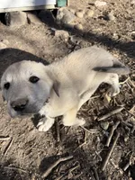 processed/b1c9072f-f992-46ec-843c-138ba6c07d58/listing/754df939-4ce8-4d92-b9b8-922176495edc/f84adf50-66d8-4d96-944b-d23b8598c75a