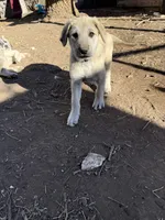 processed/b1c9072f-f992-46ec-843c-138ba6c07d58/listing/e4227454-cd64-444b-b2c0-5caf460c4ede/0ec014ce-13eb-48b7-872f-5f34bc72285b