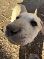 processed/b1c9072f-f992-46ec-843c-138ba6c07d58/listing/e4227454-cd64-444b-b2c0-5caf460c4ede/5f9d0ac9-d204-4597-8981-a58e75ca4294