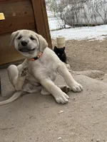 processed/b1c9072f-f992-46ec-843c-138ba6c07d58/listing/e4227454-cd64-444b-b2c0-5caf460c4ede/71e96b4e-4fba-4ecc-8276-b14dac1c38ef