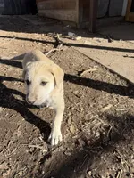 processed/b1c9072f-f992-46ec-843c-138ba6c07d58/listing/e4227454-cd64-444b-b2c0-5caf460c4ede/825badd5-51eb-4fa3-bed1-10c60dbaf7d5