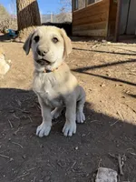 processed/b1c9072f-f992-46ec-843c-138ba6c07d58/listing/e4227454-cd64-444b-b2c0-5caf460c4ede/c87dfe91-77f9-4e88-92f7-21c89c0c3710