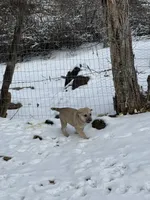 processed/b1c9072f-f992-46ec-843c-138ba6c07d58/listing/e4227454-cd64-444b-b2c0-5caf460c4ede/d37c0bff-18ea-4653-976f-10978f7cb75d