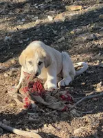 processed/b1c9072f-f992-46ec-843c-138ba6c07d58/listing/fac15a1a-da16-4ff7-9ff3-25a380a69d8f/563c5fa6-8251-4c10-bdfa-dd9ddb1e1c25