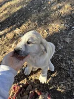 processed/b1c9072f-f992-46ec-843c-138ba6c07d58/listing/fac15a1a-da16-4ff7-9ff3-25a380a69d8f/7070e627-ba72-4ea3-9244-431306ec3939