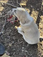 processed/b1c9072f-f992-46ec-843c-138ba6c07d58/listing/fac15a1a-da16-4ff7-9ff3-25a380a69d8f/8e288668-ae6c-4874-ae75-812ee278f1f9