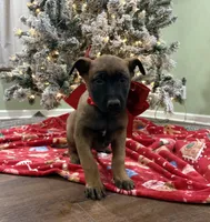 processed/b1d56b0f-8c42-458a-9c9a-5e33f8220a8f/listing/44da9be2-929e-4e58-96d5-444fc224da7e/04cd2f59-af7f-4223-93e1-52f755e076d8