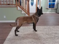 processed/b1d56b0f-8c42-458a-9c9a-5e33f8220a8f/listing/44da9be2-929e-4e58-96d5-444fc224da7e/05fe01dc-6357-4f8c-91cf-871030146557