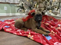 processed/b1d56b0f-8c42-458a-9c9a-5e33f8220a8f/listing/44da9be2-929e-4e58-96d5-444fc224da7e/5d6a4692-b9c3-46c4-a2ad-ac43bedddcd8