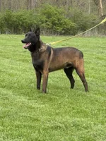 processed/b1d56b0f-8c42-458a-9c9a-5e33f8220a8f/listing/44da9be2-929e-4e58-96d5-444fc224da7e/604b6630-c9db-4afa-b52b-690866bb3742