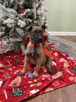 processed/b1d56b0f-8c42-458a-9c9a-5e33f8220a8f/listing/44da9be2-929e-4e58-96d5-444fc224da7e/8a572739-ff16-4f4e-b430-6206b25ee78e